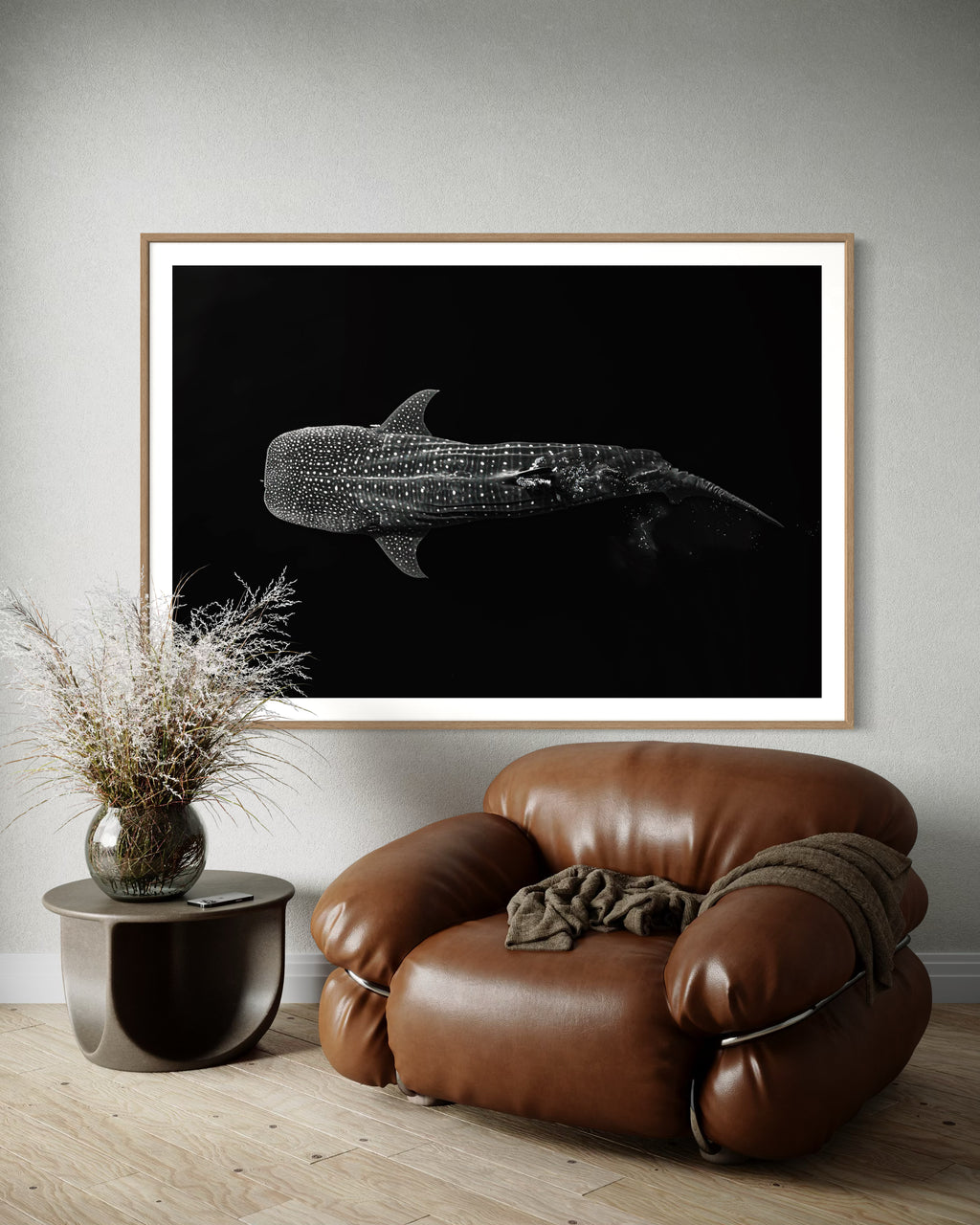 Galeria Natural / Con