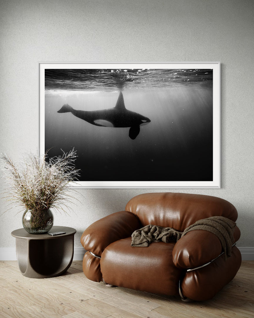 Galeria Blanco / Con