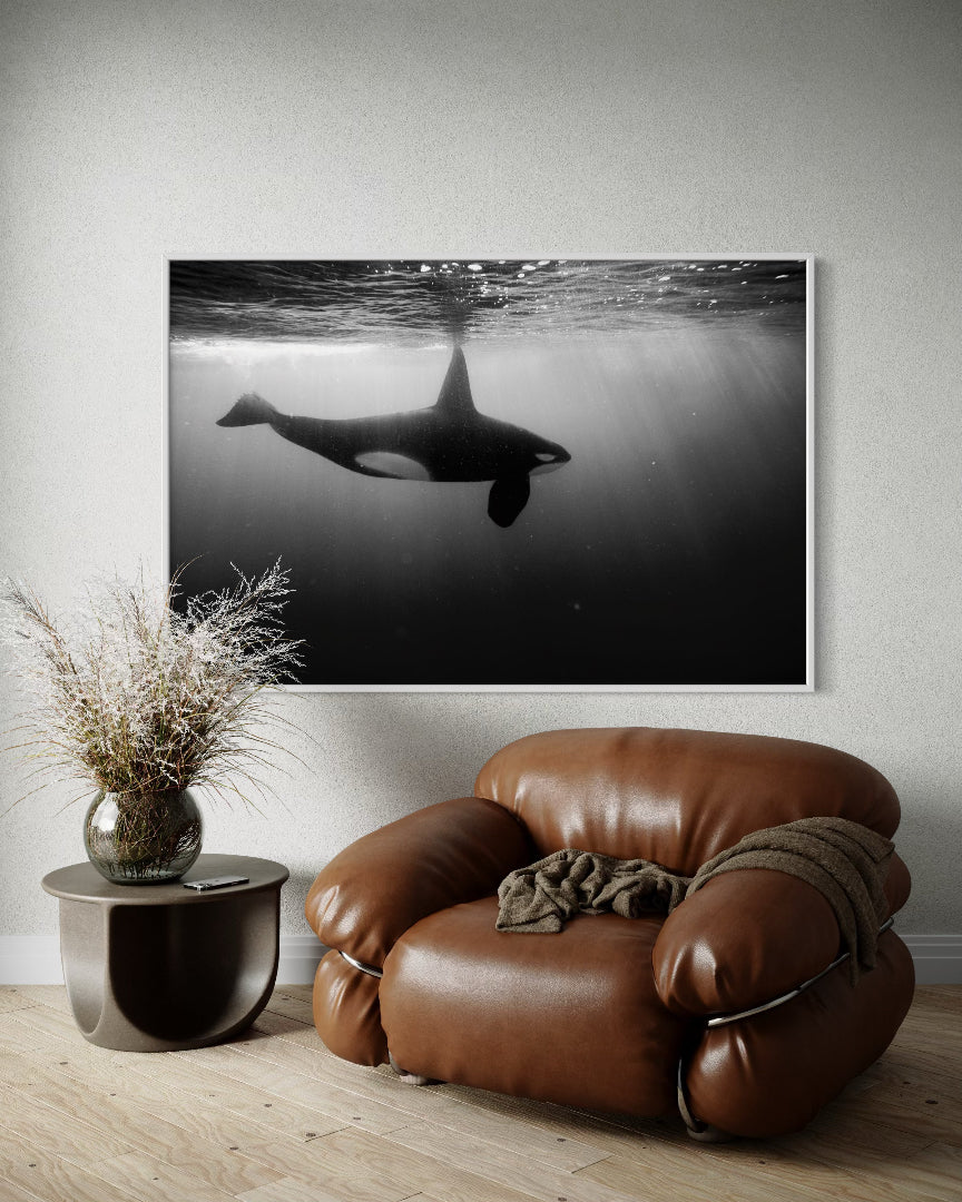 Galeria Blanco / Sin